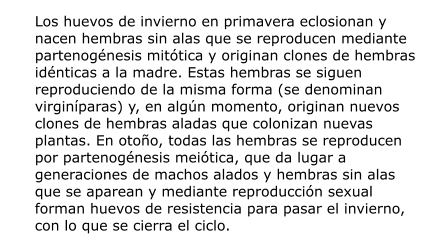 Los huevos de invierno en primavera eclosionan y nacen hembras sin alas que se reproducen mediante partenogénesis mitótica y originan clones de hembras idénticas a la madre. Estas hembras se siguen reproduciendo de la misma forma (se denominan virginíparas) y, en algún momento, originan nuevos clones de hembras aladas que colonizan nuevas plantas. En otoño, todas las hembras se reproducen por partenogénesis meiótica, que da lugar a generaciones de machos alados y hembras sin alas que se aparean y mediante reproducción sexual forman huevos de resistencia para pasar el invierno, con lo que se cierra el ciclo.