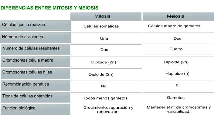 DIFERENCIAS ENTRE MITOSIS Y MEIOSIS   Células que la realizan Mitosis Meiosis Número de divisiones Número de células resultantes Cromosomas célula madre Cromosomas células hijas Recombinación genética Tipos de células obtenidos Función biológica Células somáticas Una Dos Diploide (2n) Diploide (2n) No Todos menos gametos Crecimiento, reparación y renovación. Células madre de gametos Dos Cuatro Diploide (2n) Haploide (n) Sí Gametos Mantener el nº de cromosomas y variabilidad.